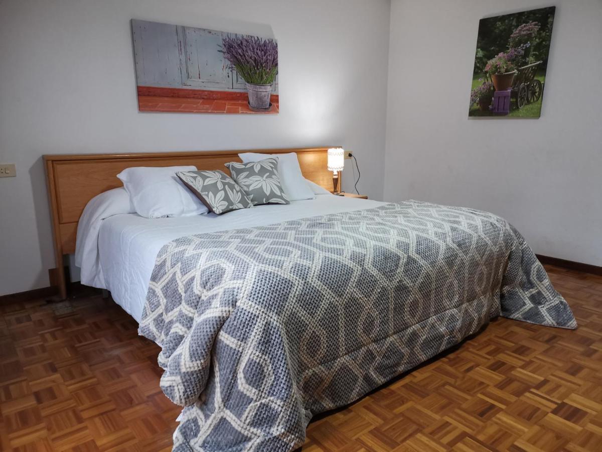 Garden Lodge Hostal Evencio Ribadavia Exterior photo